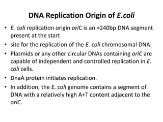 DNA Replication Origin of E.coli
• E. coli replication origin oriC is an ≈240bp DNA segment
present at the start
• site for the replication of the E. coli chromosomal DNA.
• Plasmids or any other circular DNAs containing oriC are
capable of independent and controlled replication in E.
coli cells.
• DnaA protein initiates replication.
• In addition, the E. coli genome contains a segment of
DNA with a relatively high A+T content adjacent to the
oriC.
 