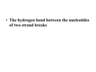 • The hydrogen bond between the nucleotides
of two strand breaks
 