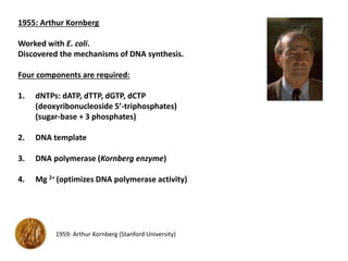 1955: Arthur Kornberg
Worked with E. coli.
Discovered the mechanisms of DNA synthesis.
Four components are required:
1. dNTPs: dATP, dTTP, dGTP, dCTP
(deoxyribonucleoside 5’-triphosphates)
(sugar-base + 3 phosphates)
2. DNA template
3. DNA polymerase (Kornberg enzyme)
4. Mg 2+ (optimizes DNA polymerase activity)
1959: Arthur Kornberg (Stanford University)
 