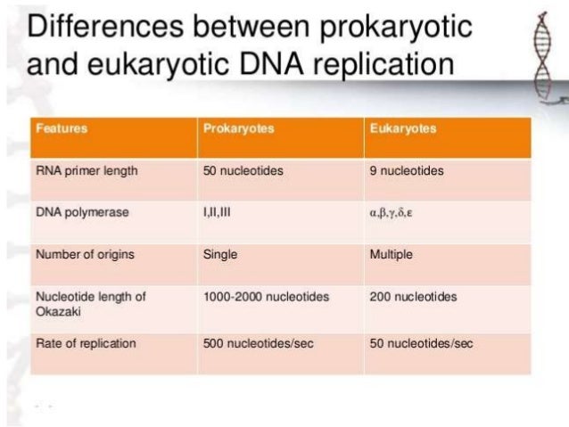 Dna replication
