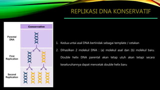 Dna replication | PPT