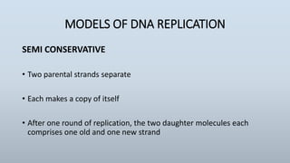 MODELS OF DNA REPLICATION
SEMI CONSERVATIVE
• Two parental strands separate
• Each makes a copy of itself
• After one round of replication, the two daughter molecules each
comprises one old and one new strand
 
