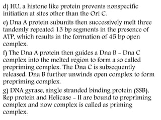 d) HU, a histone like protein prevents nonspecific
initiation at sites other than the Ori C.
e) Dna A protein subunits then successively melt three
tandemly repeated 13 bp segments in the presence of
ATP, which results in the formation of 45 bp open
complex.
f) The Dna A protein then guides a Dna B - Dna C
complex into the melted region to form a so called
prepriming complex. The Dna C is subsequently
released. Dna B further unwinds open complex to form
prepriming complex.
g) DNA gyrase, single stranded binding protein (SSB),
Rep protein and Helicase - II are bound to prepriming
complex and now complex is called as priming
complex.
 