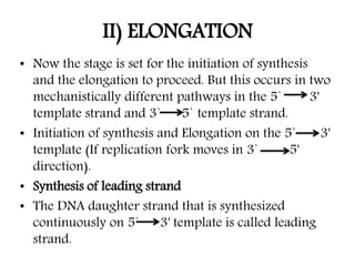 II) ELONGATION
• Now the stage is set for the initiation of synthesis
and the elongation to proceed. But this occurs in two
mechanistically different pathways in the 5` 3'
template strand and 3` 5` template strand.
• Initiation of synthesis and Elongation on the 5` 3'
template (If replication fork moves in 3` 5'
direction).
• Synthesis of leading strand
• The DNA daughter strand that is synthesized
continuously on 5` 3' template is called leading
strand.
 