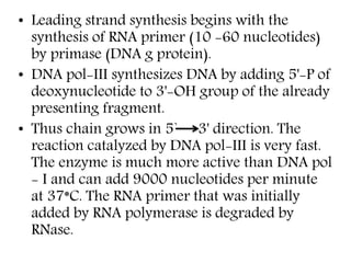 • Leading strand synthesis begins with the
synthesis of RNA primer (10 -60 nucleotides)
by primase (DNA g protein).
• DNA pol-III synthesizes DNA by adding 5'-P of
deoxynucleotide to 3'-OH group of the already
presenting fragment.
• Thus chain grows in 5` 3' direction. The
reaction catalyzed by DNA pol-III is very fast.
The enzyme is much more active than DNA pol
- I and can add 9000 nucleotides per minute
at 37*C. The RNA primer that was initially
added by RNA polymerase is degraded by
RNase.
 