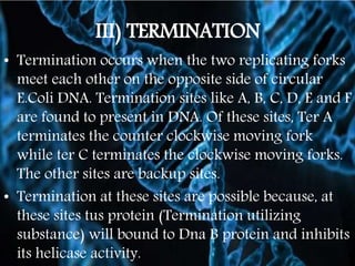III) TERMINATION
• Termination occurs when the two replicating forks
meet each other on the opposite side of circular
E.Coli DNA. Termination sites like A, B, C, D, E and F
are found to present in DNA. Of these sites, Ter A
terminates the counter clockwise moving fork
while ter C terminates the clockwise moving forks.
The other sites are backup sites.
• Termination at these sites are possible because, at
these sites tus protein (Termination utilizing
substance) will bound to Dna B protein and inhibits
its helicase activity.
 