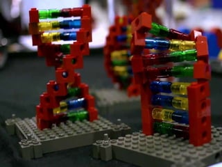 DNA replication in prokaryotes