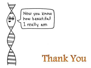 DNA replication in prokaryotes