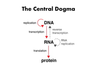 The Central Dogma
 