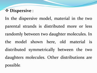 DNA Replication | PPT