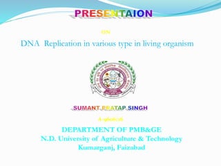 ON
DNA Replication in various type in living organism
A-9606/16
DEPARTMENT OF PMB&GE
N.D. University of Agriculture & Technology
Kumarganj, Faizabad
 