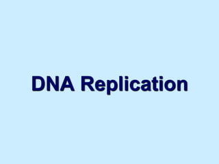 DNA Replication
 