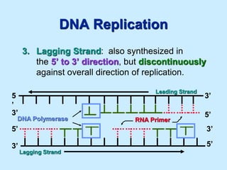 Dna replication | PPTX