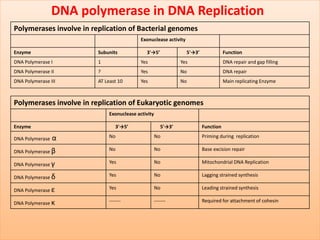 DNA polymerase in DNA Replication
Polymerases involve in replication of Bacterial genomes
Exonuclease activity
Enzyme Subunits 3'→5’ 5'→3’ Function
DNA Polymerase I 1 Yes Yes DNA repair and gap filling
DNA Polymerase II ? Yes No DNA repair
DNA Polymerase III AT Least 10 Yes No Main replicating Enzyme
Polymerases involve in replication of Eukaryotic genomes
Exonuclease activity
Enzyme 3'→5’ 5'→3’ Function
DNA Polymerase α No No Priming during replication
DNA Polymerase β No No Base excision repair
DNA Polymerase γ Yes No Mitochondrial DNA Replication
DNA Polymerase δ Yes No Lagging strained synthesis
DNA Polymerase ε Yes No Leading strained synthesis
DNA Polymerase κ ------- ------- Required for attachment of cohesin
 