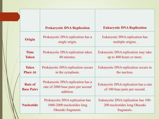 Prokaryotic DNA Replication Eukaryotic DNA Replication
Origin
Prokaryotic DNA replication has a
single origin.
Eukaryotic DNA replication has
multiple origins.
Time
Taken
Prokaryotic DNA replication takes
40 minutes.
Eukaryotic DNA replication may take
up to 400 hours or more.
Takes
Place At
Prokaryotic DNA replication occurs
in the cytoplasm.
Eukaryotic DNA replication occurs in
the nucleus.
Rate of
Base Pairs
Prokaryotic DNA replication has a
rate of 2000 base pairs per second
addition.
Eukaryotic DNA replication has a rate
of 100 base pairs per second.
Nucleotide
Prokaryotic DNA replication has
1000-2000 nucleotides long
Okazaki fragments.
Eukaryotic DNA replication has 100-
200 nucleotides long Okazaki
fragments.
 