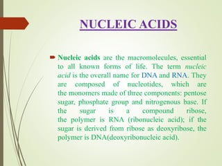 NUCLEIC ACIDS
 Nucleic acids are the macromolecules, essential
to all known forms of life. The term nucleic
acid is the overall name for DNA and RNA. They
are composed of nucleotides, which are
the monomers made of three components: pentose
sugar, phosphate group and nitrogenous base. If
the sugar is a compound ribose,
the polymer is RNA (ribonucleic acid); if the
sugar is derived from ribose as deoxyribose, the
polymer is DNA(deoxyribonucleic acid).
 