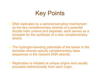 Key Points
DNA replicates by a semiconservative mechanism:
as the two complementary strands of a parental
double helix unwind and separate, each serves as a
template for the synthesis of a new complementary
strand.
The hydrogen-bonding potentials of the bases in the
template strands specify complementary base
sequences in the nascent DNA strands.
Replication is initiated at unique origins and usually
proceeds bidirectionally from each origin.
 