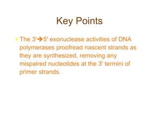 Key Points
The 3'5' exonuclease activities of DNA
polymerases proofread nascent strands as
they are synthesized, removing any
mispaired nucleotides at the 3' termini of
primer strands.
 