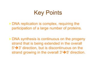 Key Points
DNA replication is complex, requiring the
participation of a large number of proteins.
DNA synthesis is continuous on the progeny
strand that is being extended in the overall
5'3' direction, but is discontinuous on the
strand growing in the overall 3'5' direction.
 