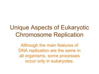 Unique Aspects of Eukaryotic
Chromosome Replication
Although the main features of
DNA replication are the same in
all organisms, some processes
occur only in eukaryotes.
 