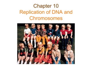 Chapter 10
Replication of DNA and
Chromosomes
 
