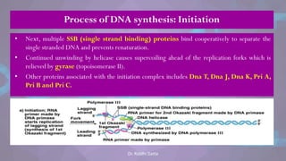 Process of DNA synthesis: Initiation
• Next, multiple SSB (single strand binding) proteins bind cooperatively to separate the
single stranded DNA and prevents renaturation.
• Continued unwinding by helicase causes supercoiling ahead of the replication forks which is
relieved by gyrase (topoisomerase II).
• Other proteins associated with the initiation complex includes Dna T, Dna J, Dna K, Pri A,
Pri B and Pri C.
Dr. Riddhi Datta
 