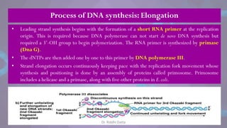 Process of DNA synthesis: Elongation
• Leading strand synthesis begins with the formation of a short RNA primer at the replication
origin. This is required because DNA polymerase can not start de novo DNA synthesis but
required a 3‘-OH group to begin polymerization. The RNA primer is synthesized by primase
(Dna G).
• The dNTPs are then added one by one to this primer by DNA polymerase III.
• Strand elongation occurs continuously keeping pace with the replication fork movement whose
synthesis and positioning is done by an assembly of proteins called primosome. Primosome
includes a helicase and a primase, along with five other proteins in E.coli.
Dr. Riddhi Datta
 