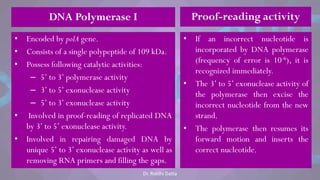 DNA Polymerase I
• Encoded by polA gene.
• Consists of a single polypeptide of 109 kDa.
• Possess following catalytic activities:
– 5‘ to 3‘ polymerase activity
– 3‘ to 5‘ exonuclease activity
– 5‘ to 3‘ exonuclease activity
• Involved in proof-reading of replicated DNA
by 3‘ to 5‘ exonuclease activity.
• Involved in repairing damaged DNA by
unique 5‘ to 3‘ exonuclease activity as well as
removing RNA primers and filling the gaps.
• If an incorrect nucleotide is
incorporated by DNA polymerase
(frequency of error is 10-6), it is
recognized immediately.
• The 3‘ to 5‘ exonuclease activity of
the polymerase then excise the
incorrect nucleotide from the new
strand.
• The polymerase then resumes its
forward motion and inserts the
correct nucleotide.
Proof-reading activity
Dr. Riddhi Datta
 