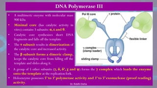 DNA Polymerase III
• A multimeric enzyme with molecular mass
900 kDa
• Minimal core (has catalytic activity in
vitro) contains 3 subunits: α, ε and θ.
• Catalytic core synthesizes short DNA
fragments and falls off the template
• The τ subunit results in dimerization of
the catalytic core and increased activity.
• The β subunit forms a dimeric clamp,
keeps the catalytic core from falling off the
template and slides along it.
• A group of 5 other subunits (γ, δ, δ’, χ and ψ) forms the γ complex which loads the enzyme
onto the template at the replication fork.
• Holoenzyme possesses 5’ to 3’ polymerase activity and 3’ to 5’ exonuclease (proof reading)
activity. Dr. Riddhi Datta
 