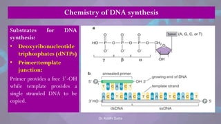 Chemistry of DNA synthesis
Substrates for DNA
synthesis:
• Deoxyribonucleotide
triphosphates (dNTPs)
• Primer:template
junction:
Primer provides a free 3‘-OH
while template provides a
single stranded DNA to be
copied.
Dr. Riddhi Datta
 