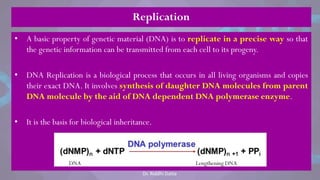 Replication
• A basic property of genetic material (DNA) is to replicate in a precise way so that
the genetic information can be transmitted from each cell to its progeny.
• DNA Replication is a biological process that occurs in all living organisms and copies
their exact DNA. It involves synthesis of daughter DNA molecules from parent
DNA molecule by the aid of DNA dependent DNA polymerase enzyme.
• It is the basis for biological inheritance.
DNA Lengthening DNA
Dr. Riddhi Datta
 