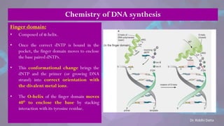 Finger domain:
• Composed of α-helix.
• Once the correct dNTP is bound in the
pocket, the finger domain moves to enclose
the base paired dNTPs.
• This conformational change brings the
dNTP and the primer (or growing DNA
strand) into correct orientation with
the divalent metal ions.
• The O-helix of the finger domain moves
40° to enclose the base by stacking
interaction with its tyrosine residue.
Chemistry of DNA synthesis
Dr. Riddhi Datta
 
