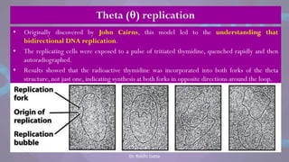 Dr. Riddhi Datta
Theta (θ) replication
• Originally discovered by John Cairns, this model led to the understanding that
bidirectional DNA replication.
• The replicating cells were exposed to a pulse of tritiated thymidine, quenched rapidly and then
autoradiographed.
• Results showed that the radioactive thymidine was incorporated into both forks of the theta
structure, not just one, indicating synthesis at both forks in opposite directions around the loop.
 