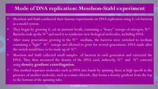 Mode of DNA replication: Meselson-Stahl experiment
• Meselson and Stahl conducted their famous experiments on DNA replication using E.coli bacteria
as a model system.
• They began by growing E. coli in nutrient broth, containing a "heavy" isotope of nitrogen, N15 .
Bacteria took up the N15 and used it to synthesize new biological molecules, including DNA.
• After many generations growing in the N15 medium, the bacteria were switched to medium
containing a "light" N14 isotope and allowed to grow for several generations. DNA made after
the switch would have to be made up of N14.
• Meselson and Stahl collected small samples of bacteria in each generation and extracted the
DNA. They then measured the density of the DNA (and, indirectly, N14 and N15 content)
using density gradient centrifugation.
• This method separates molecules such as DNA into bands by spinning them at high speeds in the
presence of another molecule, such as cesium chloride, that forms a density gradient from the top
to the bottom of the spinning tube.
Dr. Riddhi Datta
 