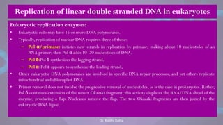 Eukaryotic replication enzymes:
• Eukaryotic cells may have 15 or more DNA polymerases.
• Typically, replication of nuclear DNA requires three of these:
– Pol α/primase: initiates new strands in replication by primase, making about 10 nucleotides of an
RNA primer; then Pol α adds 10–20 nucleotides of DNA.
– Pol δ:Pol δ synthesizes the lagging strand.
– Pol ε: Pol ε appears to synthesize the leading strand,
• Other eukaryotic DNA polymerases are involved in specific DNA repair processes, and yet others replicate
mitochondrial and chloroplast DNA.
• Primer removal does not involve the progressive removal of nucleotides, as is the case in prokaryotes. Rather,
Pol δ continues extension of the newer Okazaki fragment; this activity displaces the RNA/DNA ahead of the
enzyme, producing a flap. Nucleases remove the flap. The two Okazaki fragments are then joined by the
eukaryotic DNA ligase.
Replication of linear double stranded DNA in eukaryotes
Dr. Riddhi Datta
 