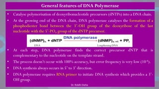 General features of DNA Polymerase
• Catalyse polymerisation of deoxyribonucleotide precursors (dNTPs) into a DNA chain.
• At the growing end of the DNA chain, DNA polymerase catalyses the formation of a
phosphodiester bond between the 3‘-OH group of the deoxyribose of the last
nucleotide with the 5‘-PO4 group of the dNTP precursor.
• At each step, DNA polymerase finds the correct precursor dNTP that is
complementary to the nucleotide on the template strand.
• The process doesn‘t occur with 100% accuracy, but error frequency is very low (10-6).
• DNA synthesis always occurs in 5‘ to 3‘ direction.
• DNA polymerase requires RNA primer to initiate DNA synthesis which provides a 3‘-
OH group.
DNA Lengthening DNA
Dr. Riddhi Datta
 