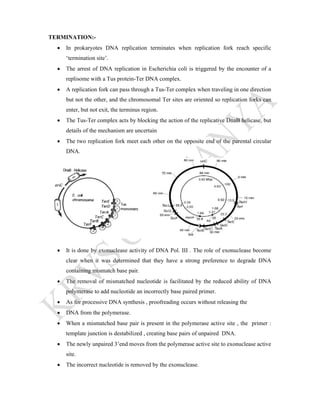 TERMINATION:-
 In prokaryotes DNA replication terminates when replication fork reach specific
‘termination site’.
 The arrest of DNA replication in Escherichia coli is triggered by the encounter of a
replisome with a Tus protein-Ter DNA complex.
 A replication fork can pass through a Tus-Ter complex when traveling in one direction
but not the other, and the chromosomal Ter sites are oriented so replication forks can
enter, but not exit, the terminus region.
 The Tus-Ter complex acts by blocking the action of the replicative DnaB helicase, but
details of the mechanism are uncertain
 The two replication fork meet each other on the opposite end of the parental circular
DNA.
 It is done by exonuclease activity of DNA Pol. III . The role of exonuclease become
clear when it was determined that they have a strong preference to degrade DNA
containing mismatch base pair.
 The removal of mismatched nucleotide is facilitated by the reduced ability of DNA
polymerase to add nucleotide an incorrectly base paired primer.
 As for processive DNA synthesis , proofreading occurs without releasing the
 DNA from the polymerase.
 When a mismatched base pair is present in the polymerase active site , the primer :
template junction is destabilized , creating base pairs of unpaired DNA.
 The newly unpaired 3’end moves from the polymerase active site to exonuclease active
site.
 The incorrect nucleotide is removed by the exonuclease.
 