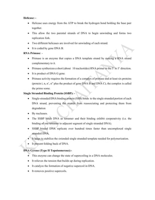 Helicase: -
 Helicase uses energy from the ATP to break the hydrogen bond holding the base pair
together.
 This allow the two parental strands of DNA to begin unwinding and forms two
replication fork.
 Two different helicases are involved for unwinding of each strand.
 It is coded by gene DNA B.
RNA Primase: -
 Primase is an enzyme that copies a DNA template strand by making a RNA strand
complementary to it.
 Primase synthesizes a short (about 10 nucleotides) RNA primer in the 5’ to 3’ direction.
 It is product of DNA G gene.
 Primase activity requires the formation of a complex of primase and at least six proteins
(protein i, n, n’, n” plus the product of gene DNA B and DNA C), the complex is called
the primo some.
Single Stranded Binding Protein (SSBP): -
 Single-stranded DNA binding protein (SSB) binds to the single stranded portion of each
DNA strand, preventing the strands from reassociating and protecting them from
degradation
 By nucleases.
 The SSBP binds DNA as tetramer and their binding exhibit cooperativity (i.e. the
binding of one tetramer to adjacent segment of single stranded DNA).
 SSBP binded DNA replicate over hundred times faster than uncomplexed single
stranded DNA.
 It helps to stabilize the extended single stranded template needed for polymerization.
 It prevent folding back of DNA.
DNA Gyrase (Type II Topoisomerase):-
 This enzyme can change the state of supercoiling in a DNA molecules.
 It relieves the tension that builds up during replication.
 It catalyze the formation of negative supercoil in DNA.
 It removes positive supercoils.
 