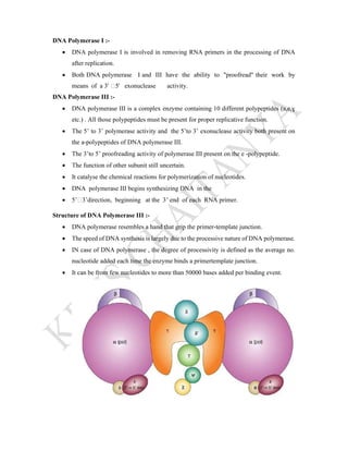 DNA Polymerase I :-
 DNA polymerase I is involved in removing RNA primers in the processing of DNA
after replication.
 Both DNA polymerase I and III have the ability to "proofread" their work by
means of a 3' 5' exonuclease activity.
DNA Polymerase III :-
 DNA polymerase III is a complex enzyme containing 10 different polypeptides (a,e,ɣ
etc.) . All those polypeptides must be present for proper replicative function.
 The 5’ to 3’ polymerase activity and the 5’to 3’ exonuclease activity both present on
the a-polypeptides of DNA polymerase III.
 The 3’to 5’ proofreading activity of polymerase III present on the e -polypeptide.
 The function of other subunit still uncertain.
 It catalyse the chemical reactions for polymerization of nucleotides.
 DNA polymerase III begins synthesizing DNA in the
 5’3’direction, beginning at the 3’ end of each RNA primer.
Structure of DNA Polymerase III :-
 DNA polymerase resembles a hand that grip the primer-template junction.
 The speed of DNA synthesis is largely due to the processive nature of DNA polymerase.
 IN case of DNA polymerase , the degree of processivity is defined as the average no.
nucleotide added each time the enzyme binds a primertemplate junction.
 It can be from few nucleotides to more than 50000 bases added per binding event.
 