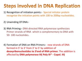 DNA Replication | PPTX