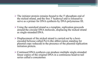  The initiator protein remains bound to the 5' phosphate end of
the nicked strand, and the free 3' hydroxyl end is released to
serve as a primer for DNA synthesis by DNA polymerase III.
 Using the unnicked strand as a template, replication proceeds
around the circular DNA molecule, displacing the nicked strand
as single-stranded DNA.
 Displacement of the nicked strand is carried out by a host-
encoded helicase called PcrA (the abbreviation standing for
plasmid copy reduced) in the presence of the plasmid replication
initiation protein.
 Continued DNA synthesis can produce multiple single-stranded
linear copies of the original DNA in a continuous head-to-tail
series called a concatemer.
 