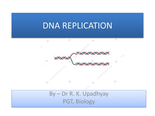 DNA REPLICATION
By – Dr R. K. Upadhyay
PGT, Biology
 