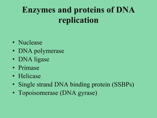 Enzymes and proteins of DNA
replication
• Nuclease
• DNA polymerase
• DNA ligase
• Primase
• Helicase
• Single strand DNA binding protein (SSBPs)
• Topoisomerase (DNA gyrase)
 