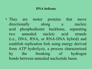 DNA helicase
• They are motor proteins that move
directionally along a nucleic
acid phosphodiester backbone, separating
two annealed nucleic acid strands
(i.e., DNA, RNA, or RNA-DNA hybrid) and
establish replication fork using energy derived
from ATP hydrolysis, a process characterized
by the breaking of hydrogen
bonds between annealed nucleotide bases
 