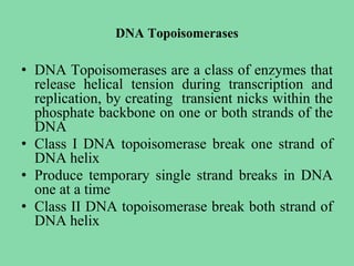 DNA Topoisomerases
• DNA Topoisomerases are a class of enzymes that
release helical tension during transcription and
replication, by creating transient nicks within the
phosphate backbone on one or both strands of the
DNA
• Class I DNA topoisomerase break one strand of
DNA helix
• Produce temporary single strand breaks in DNA
one at a time
• Class II DNA topoisomerase break both strand of
DNA helix
 
