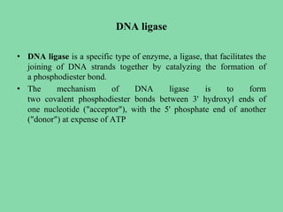 DNA ligase
• DNA ligase is a specific type of enzyme, a ligase, that facilitates the
joining of DNA strands together by catalyzing the formation of
a phosphodiester bond.
• The mechanism of DNA ligase is to form
two covalent phosphodiester bonds between 3' hydroxyl ends of
one nucleotide ("acceptor"), with the 5' phosphate end of another
("donor") at expense of ATP
 