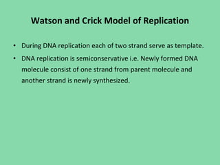 Watson and Crick Model of Replication
• During DNA replication each of two strand serve as template.
• DNA replication is semiconservative i.e. Newly formed DNA
molecule consist of one strand from parent molecule and
another strand is newly synthesized.
 