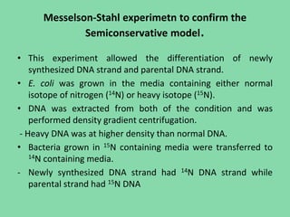 Messelson-Stahl experimetn to confirm the
Semiconservative model.
• This experiment allowed the differentiation of newly
synthesized DNA strand and parental DNA strand.
• E. coli was grown in the media containing either normal
isotope of nitrogen (14N) or heavy isotope (15N).
• DNA was extracted from both of the condition and was
performed density gradient centrifugation.
- Heavy DNA was at higher density than normal DNA.
• Bacteria grown in 15N containing media were transferred to
14N containing media.
- Newly synthesized DNA strand had 14N DNA strand while
parental strand had 15N DNA
 