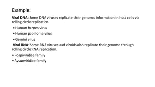 Example:
Viral DNA: Some DNA viruses replicate their genomic information in host cells via
rolling circle replication.
• Human herpes virus
• Human papilloma virus
• Gemini virus
Viral RNA: Some RNA viruses and viroids also replicate their genome through
rolling circle RNA replication.
• Pospiviridiae family
• Avsunviridiae family
 