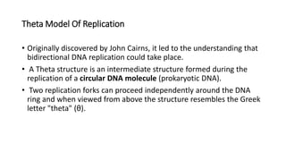 Theta Model Of Replication
• Originally discovered by John Cairns, it led to the understanding that
bidirectional DNA replication could take place.
• A Theta structure is an intermediate structure formed during the
replication of a circular DNA molecule (prokaryotic DNA).
• Two replication forks can proceed independently around the DNA
ring and when viewed from above the structure resembles the Greek
letter "theta" (θ).
 